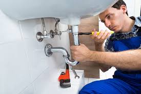 Best 24/7 Emergency Plumbing Services  in Newton, TX